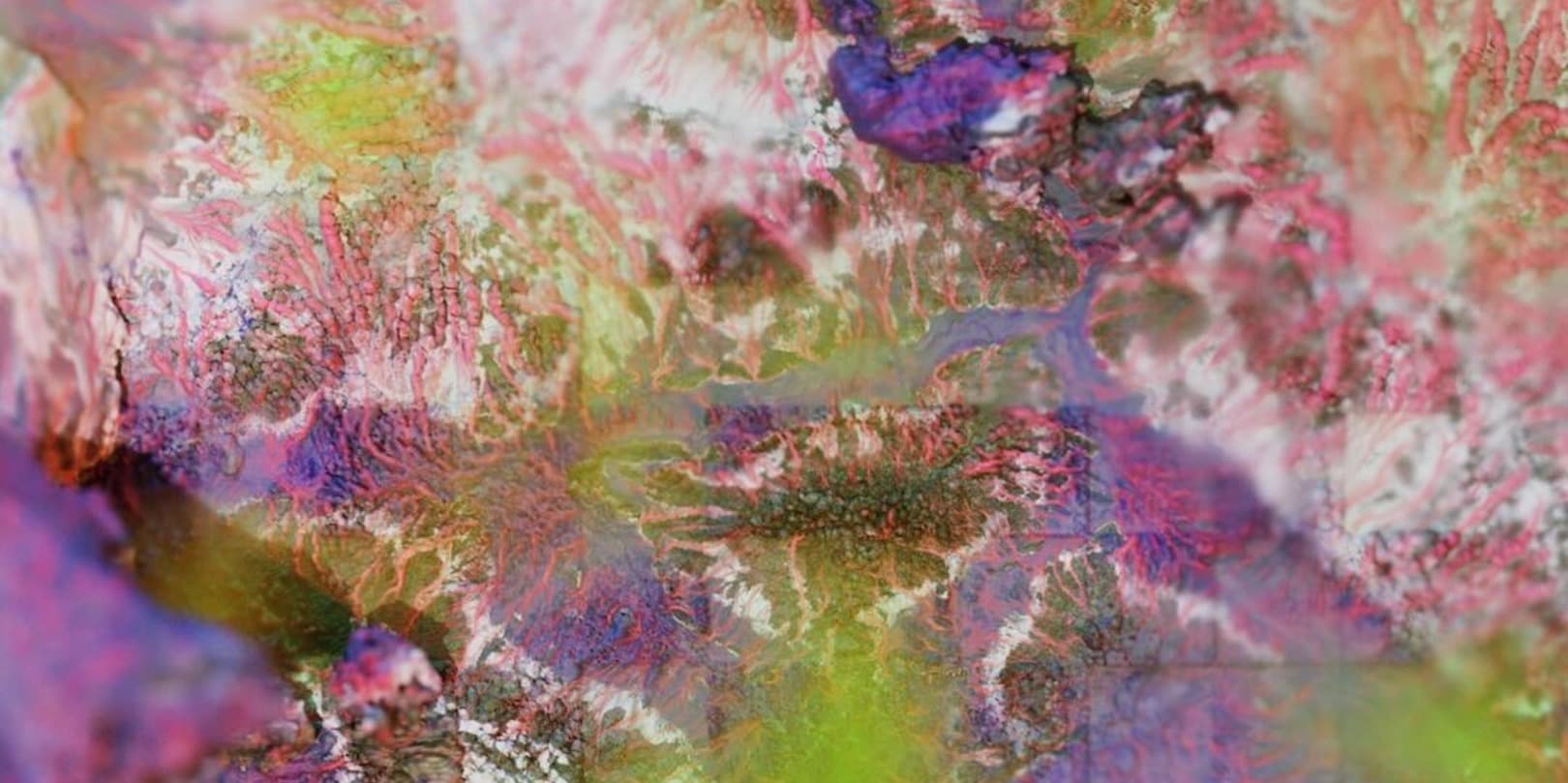 Cover photo